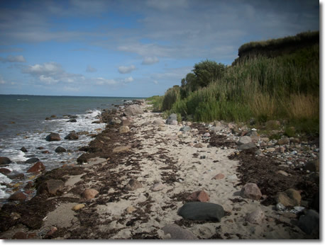 Söby Steilküste neben dem Hafen